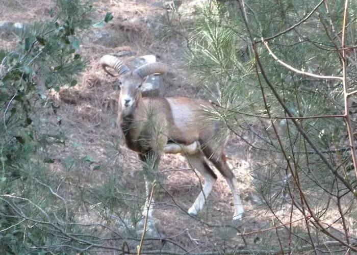 Séjour à la campagne Avalon Traditional Village Limassol