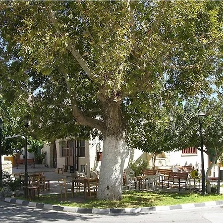 Avalon Village