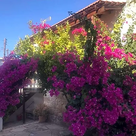 Avalon Traditional Village *