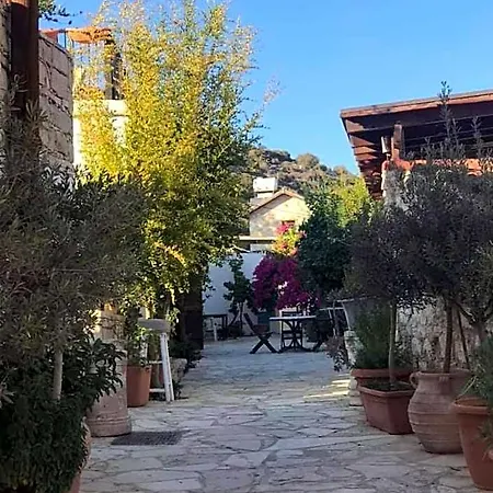 Avalon Traditional Village 컨트리하우스