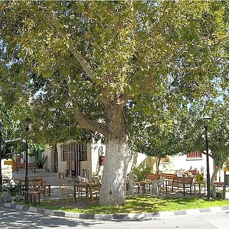 Avalon Traditional Village