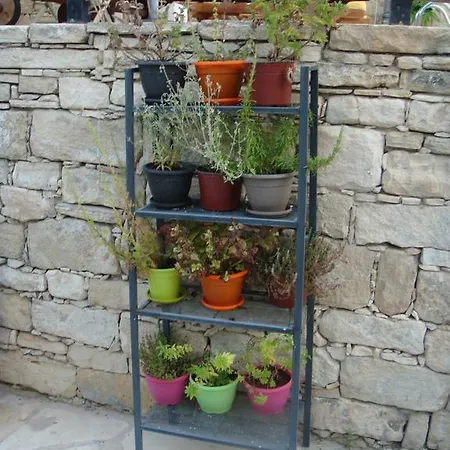 בית כפרי Avalon Traditional Village