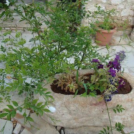 בית כפרי Avalon Traditional Village