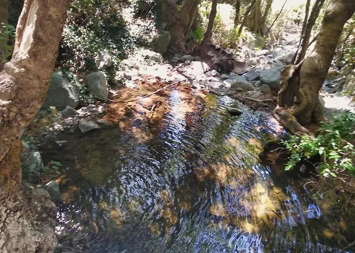 Avalon Traditional Village カントリーハウス *