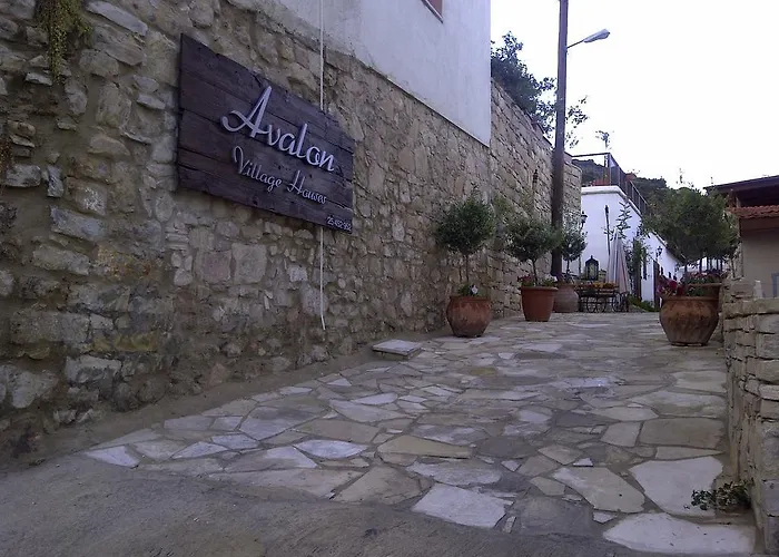 Avalon Traditional Village カントリーハウス