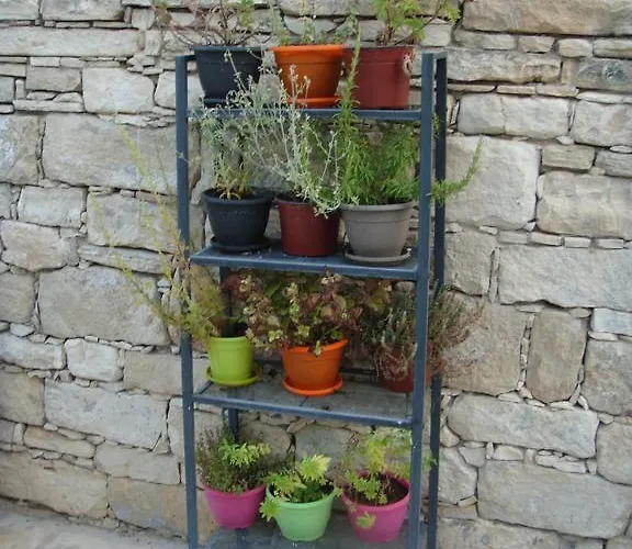 カントリーハウス Avalon Traditional Village