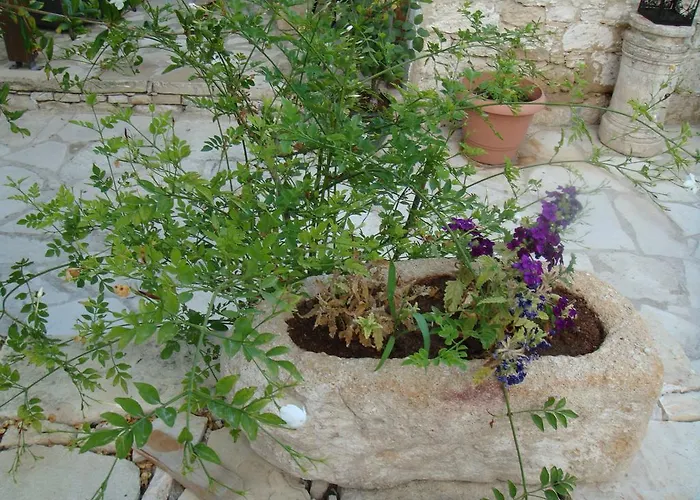 カントリーハウス Avalon Traditional Village